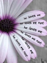 Love He Loves Me He Loves Me Not Signs That He Is In Love With You Love He Loves Me He Loves Me Not Signs That He Is In Love With You