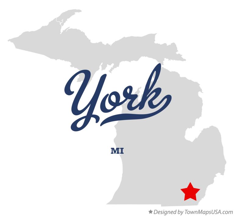 Private Investigator York Michigan